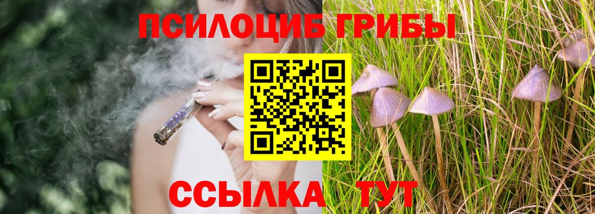 Галлюциногенные грибы Psilocybe  Вход с VPN  Кострома  Галлюциногенные грибы прущие грибы 