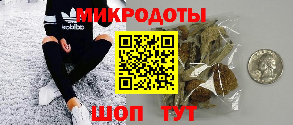 Псилоцибиновые грибы Psilocybine cubensis Кострома